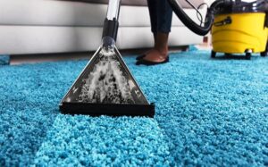 professional carpet cleaning Belgravia company